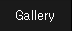 Gallery Page